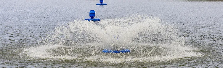 Mejores Aireadores para Peces