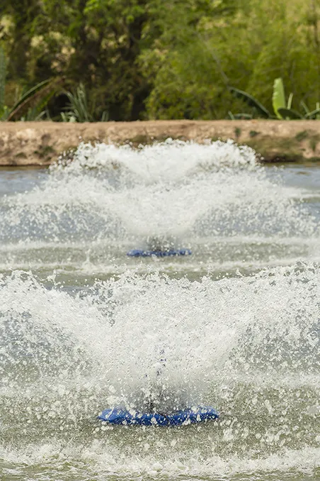 herramientas para piscicultura