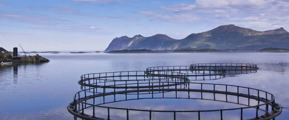 Piscicultura en Ecuador